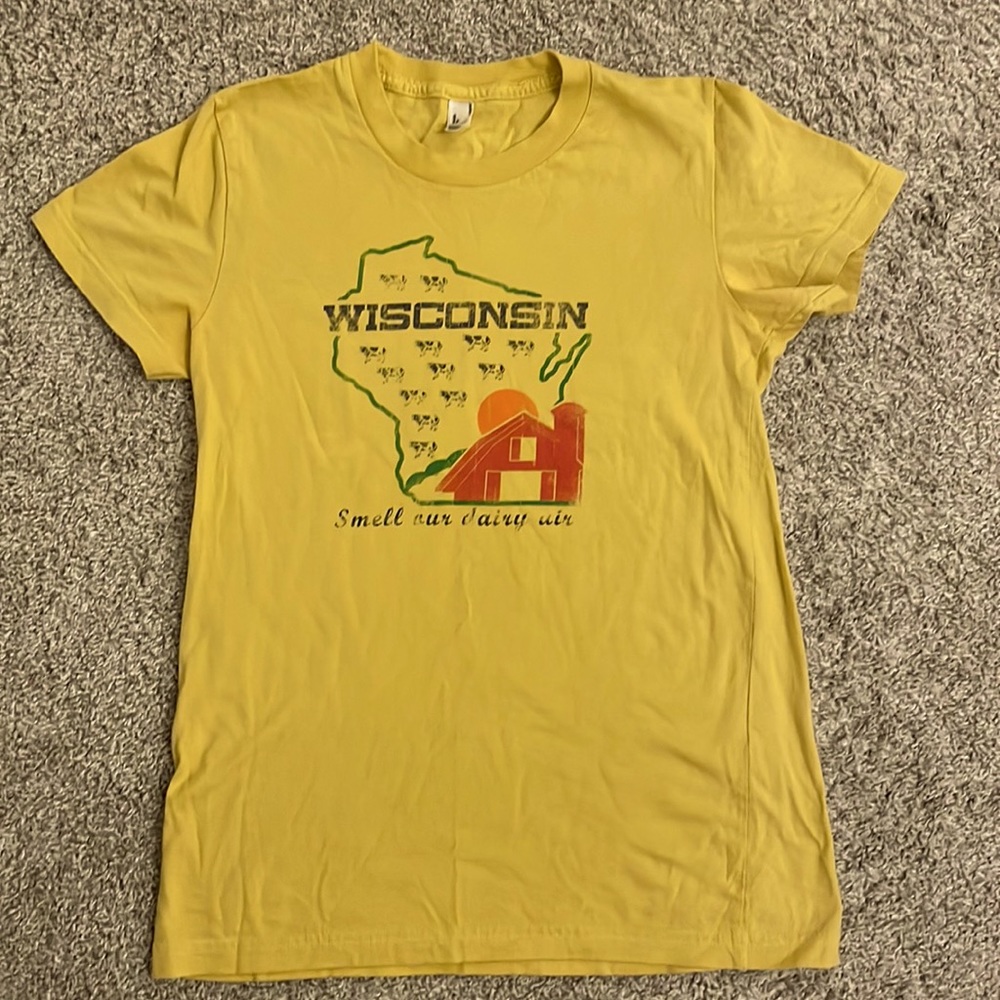 American Apparel Wisconsin t-shirt
